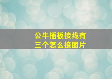 公牛插板接线有三个怎么接图片