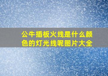 公牛插板火线是什么颜色的灯光线呢图片大全