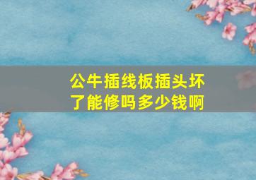 公牛插线板插头坏了能修吗多少钱啊