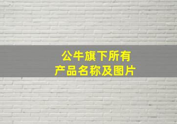 公牛旗下所有产品名称及图片