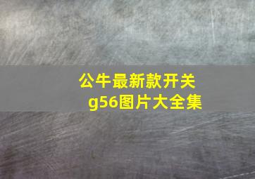 公牛最新款开关g56图片大全集