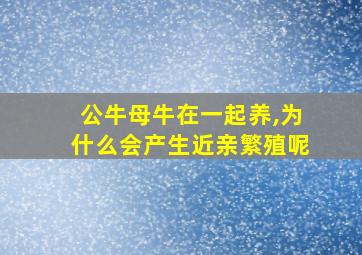 公牛母牛在一起养,为什么会产生近亲繁殖呢