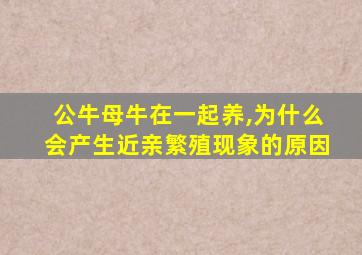 公牛母牛在一起养,为什么会产生近亲繁殖现象的原因