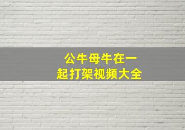 公牛母牛在一起打架视频大全