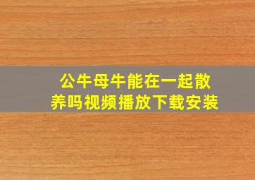 公牛母牛能在一起散养吗视频播放下载安装