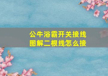 公牛浴霸开关接线图解二根线怎么接