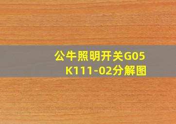 公牛照明开关G05K111-02分解图