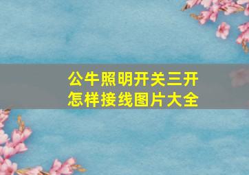 公牛照明开关三开怎样接线图片大全