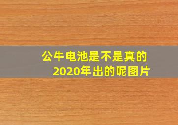 公牛电池是不是真的2020年出的呢图片