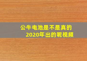 公牛电池是不是真的2020年出的呢视频