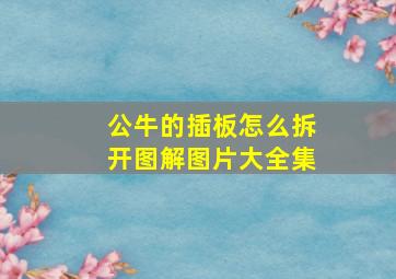 公牛的插板怎么拆开图解图片大全集