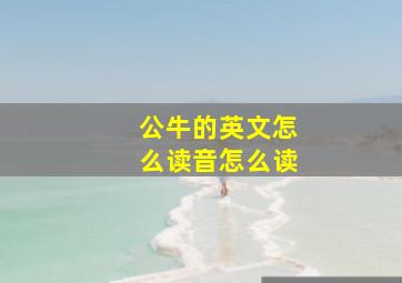 公牛的英文怎么读音怎么读