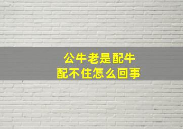 公牛老是配牛配不住怎么回事