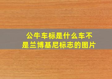 公牛车标是什么车不是兰博基尼标志的图片