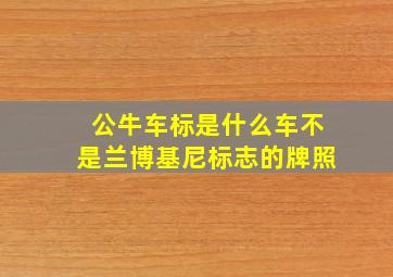 公牛车标是什么车不是兰博基尼标志的牌照