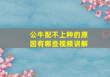 公牛配不上种的原因有哪些视频讲解