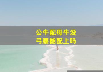 公牛配母牛没弓腰能配上吗