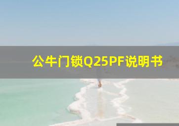 公牛门锁Q25PF说明书