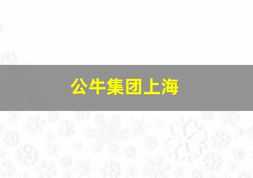 公牛集团上海