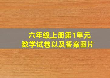 六年级上册第1单元数学试卷以及答案图片