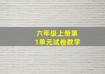 六年级上册第1单元试卷数学