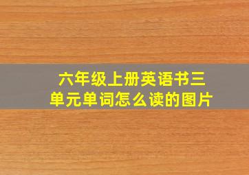 六年级上册英语书三单元单词怎么读的图片