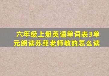 六年级上册英语单词表3单元朗读苏菲老师教的怎么读