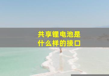 共享锂电池是什么样的接口