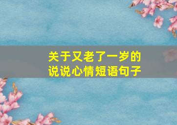 关于又老了一岁的说说心情短语句子