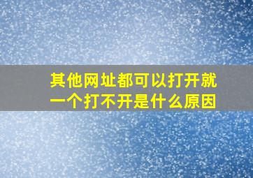 其他网址都可以打开就一个打不开是什么原因