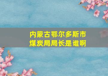 内蒙古鄂尔多斯市煤炭局局长是谁啊