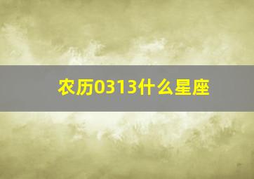 农历0313什么星座