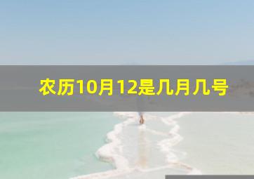 农历10月12是几月几号