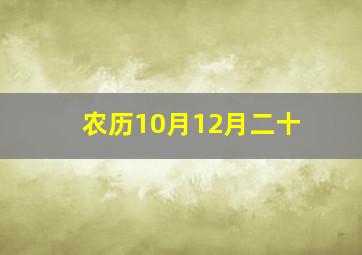 农历10月12月二十