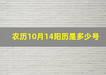 农历10月14阳历是多少号