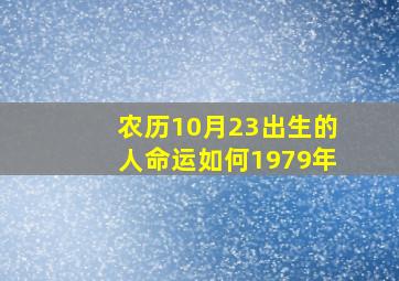 农历10月23出生的人命运如何1979年