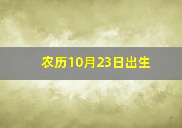 农历10月23日出生