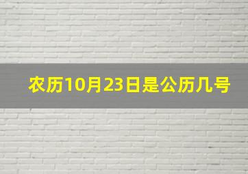 农历10月23日是公历几号