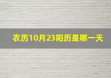 农历10月23阳历是哪一天