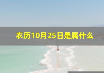 农历10月25日是属什么