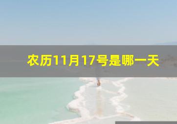 农历11月17号是哪一天