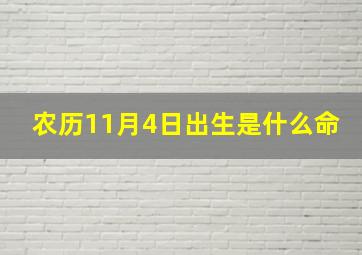 农历11月4日出生是什么命