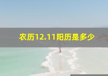 农历12.11阳历是多少