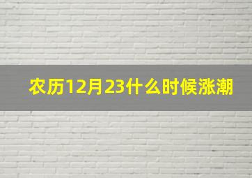 农历12月23什么时候涨潮