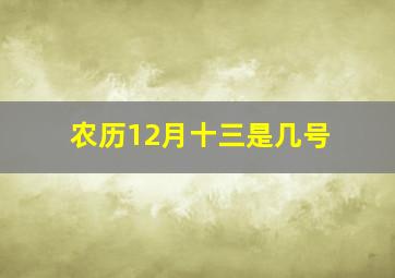 农历12月十三是几号