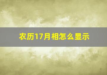 农历17月相怎么显示