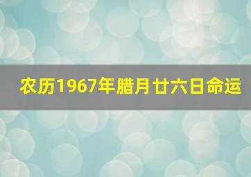 农历1967年腊月廿六日命运