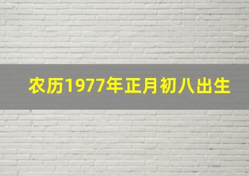 农历1977年正月初八出生