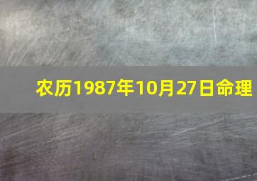 农历1987年10月27日命理