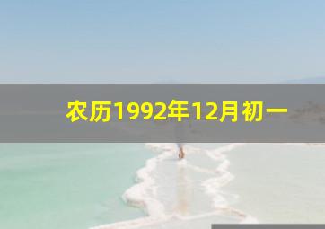 农历1992年12月初一